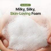Purito From Green Cleanser Sophora Japonica – rutin flavonoid capillary strengthening redness Korean foaming cleanser