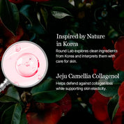Round Lab Camellia Deep Collagen PDRN Toner two ways use – daily toner 2-3 layers glow pack cotton pad 2-3 minutes quick mask