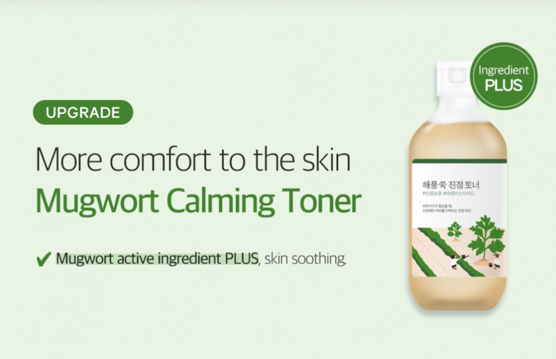 Round Lab Mugwort Calming Toner - Olive Kollection