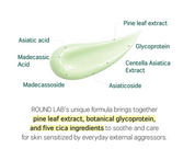 Round Lab Pine Calming Cica Primer Sunscreen