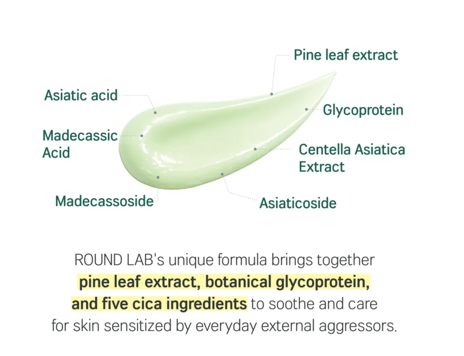 RoundLabPineCalmingCicaPrimerSunscreen.png