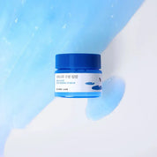 Round Lab Birch Juice Moisturizing Lip Balm 20g – Korean lip balm Inje birch sap Squalane 5 plant oils Triple HA fragrance-free vegan $20