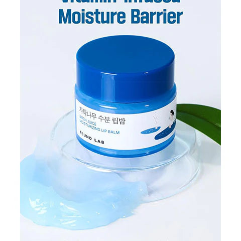 Round Lab Birch Lip Balm HydroKeep-Barrier patented – moisture lock wind cold dry air aquaporin Glyceryl Glucoside deep hydration inside out