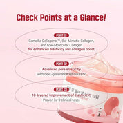 Round Lab Camellia Deep Collagen Firming Cream