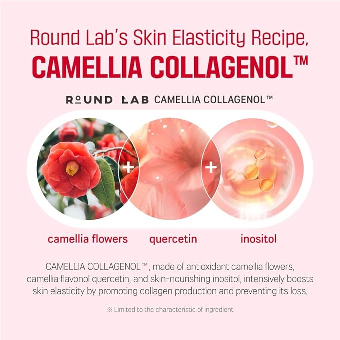 Round Lab Camellia Deep Collagen Firming Cream