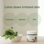 Round Lab Mugwort Calming Cream Panthenol PHA – barrier restore moisture Lactobionic Acid gentle exfoliate no irritation Allantoin heal calm daily