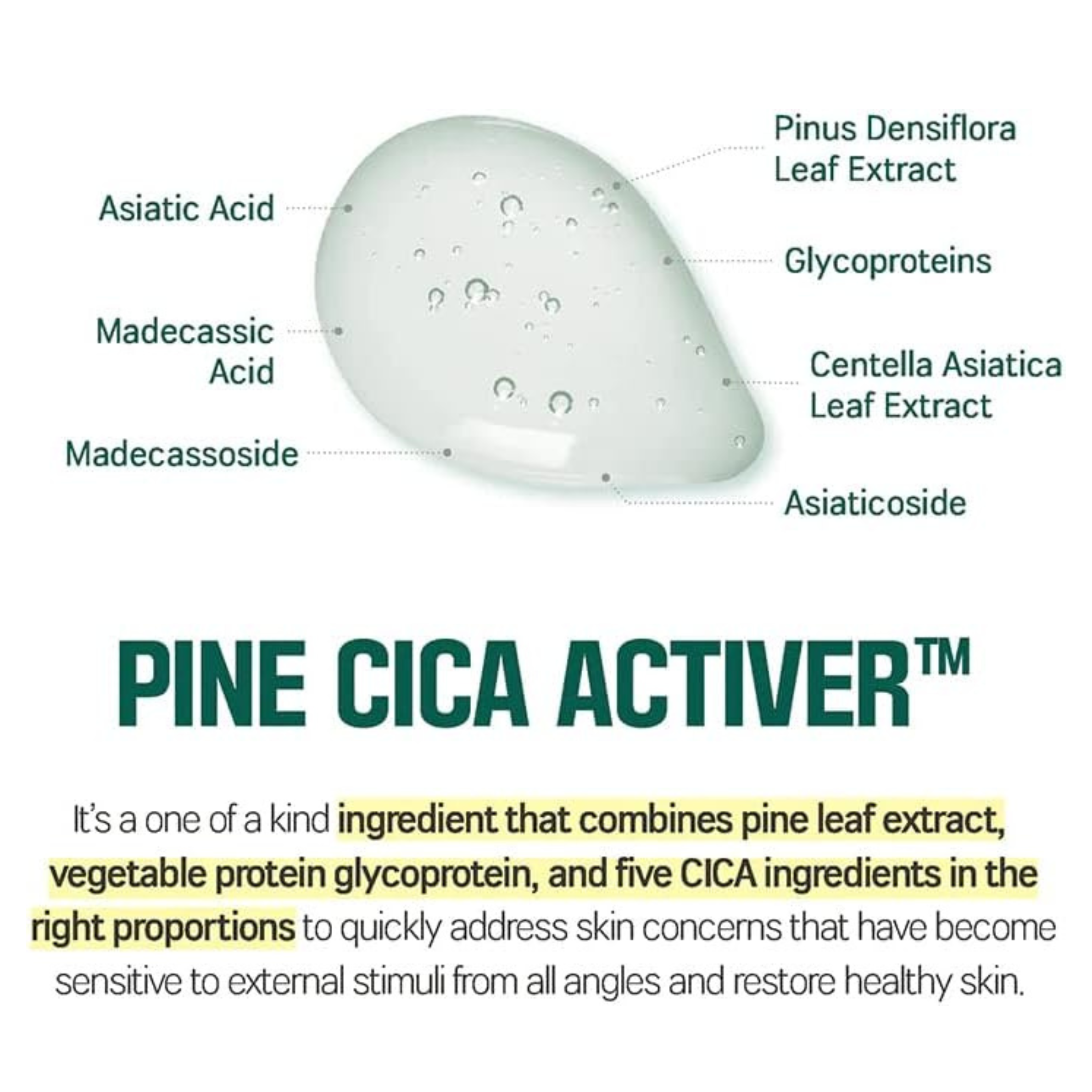 Round_Lab_Pine_Calming_Cica_Body_Wash.png