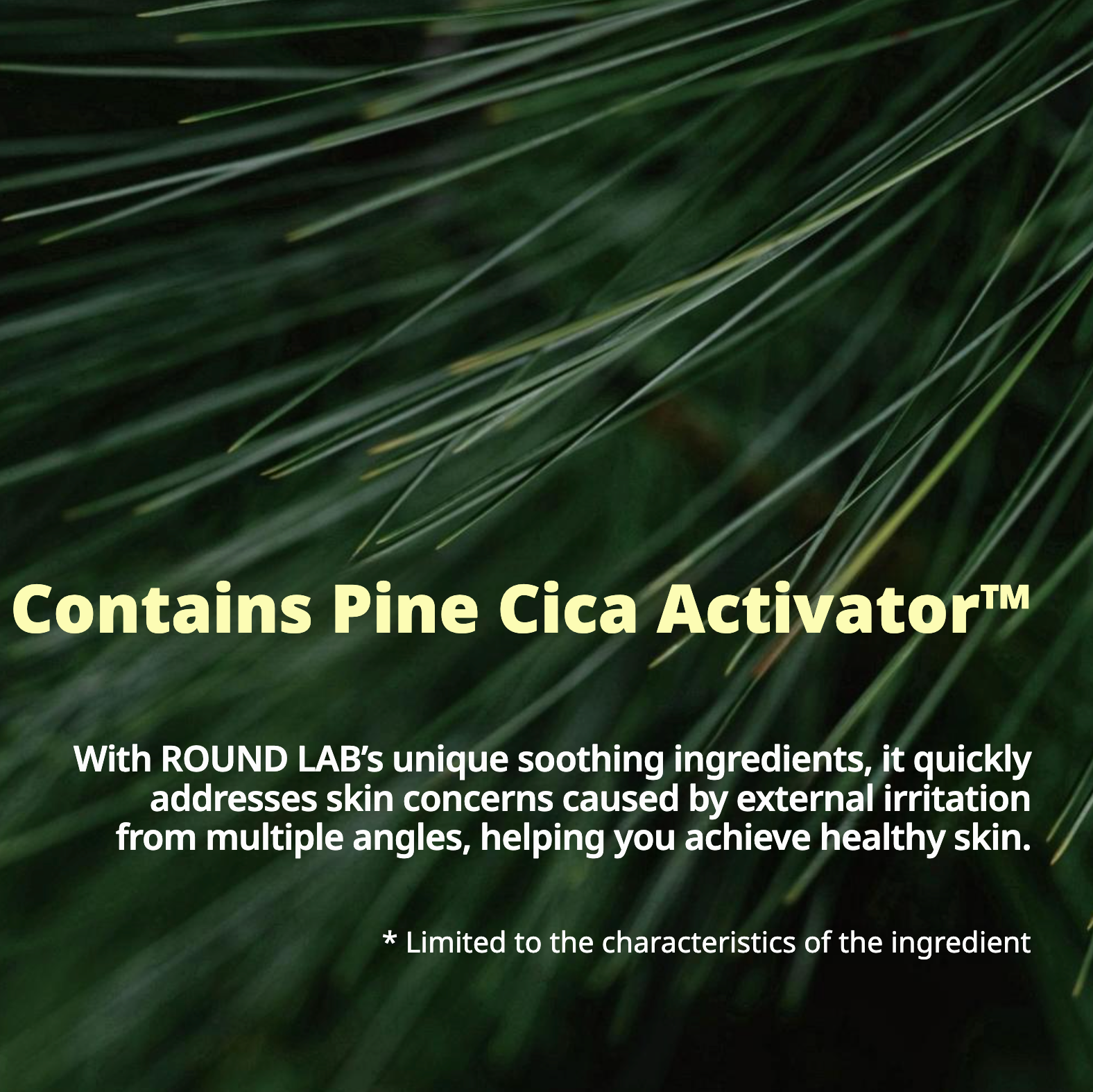 Round Lab Pine Tree Soothing Cica Biocellulose Nose Pack
