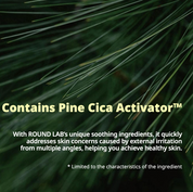 Round Lab Pine Tree Soothing Cica Biocellulose Nose Pack