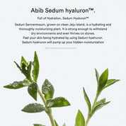 Abib Sedum Hyaluron Crème Hydrating pot - Olive Kollection