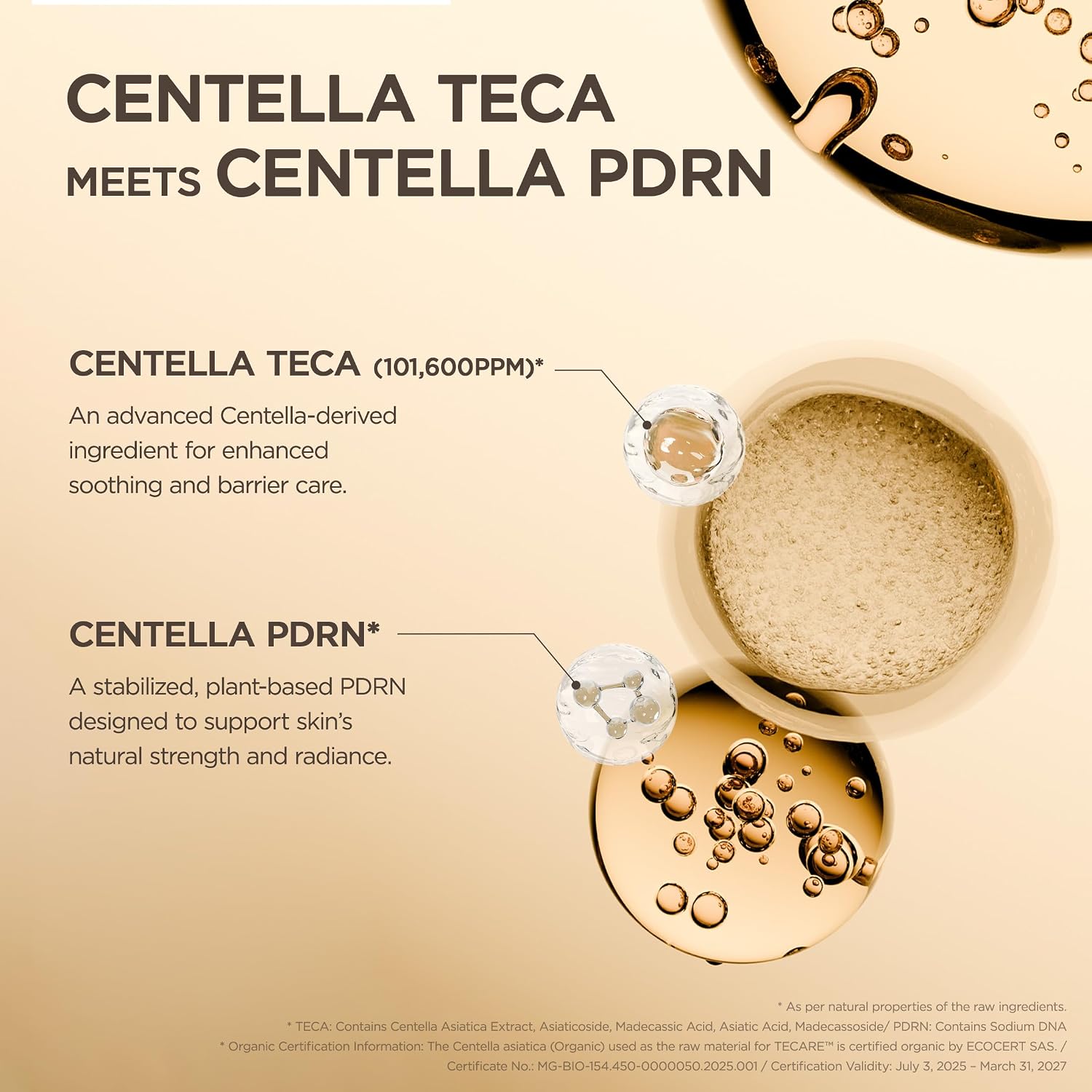Skin 1004 Centella Teca Ampoule barrier care – +10.4% barrier function +47% skin natural strength healthier-looking skin K-beauty centella