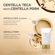 Skin 1004 Centella Teca Cream 4 brightening actives – Niacinamide Hexylresorcinol Alpha-Arbutin Kojic Acid dark spots post-acne marks tone even