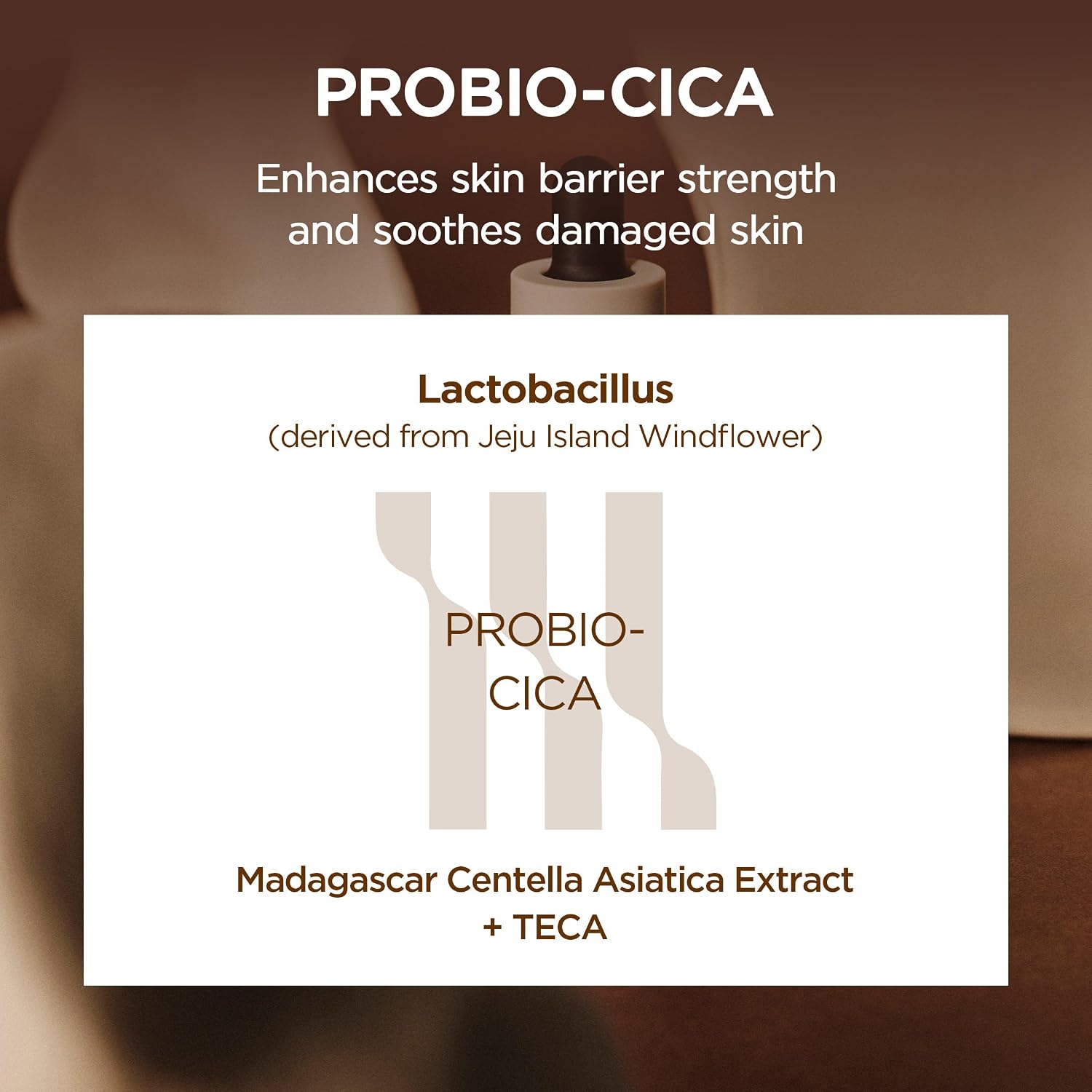 Skin 1004 Probio-Cica Intensive Ampoule Probio-Cica – fermented Madagascar Centella Lactobacillus probiotic amplify soothe barrier repair double centella