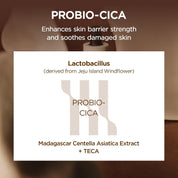 Skin 1004 Probio-Cica Intensive Ampoule Probio-Cica – fermented Madagascar Centella Lactobacillus probiotic amplify soothe barrier repair double centella