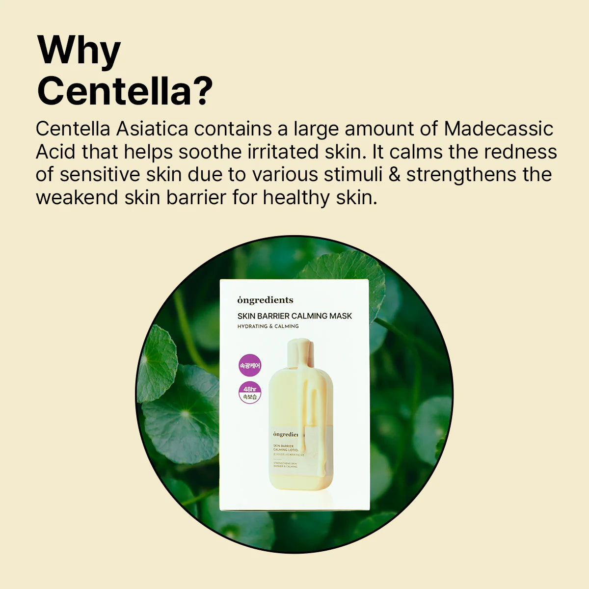 Skin Barrier Calming Facial Mask - Olive Kollection