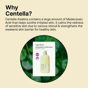 Skin Barrier Calming Facial Mask - Olive Kollection