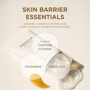 Skin1004 Centella Cream barrier repair – 4 ceramides EOP NS NP AP Phytosphingosine Cholesterol complete lipid complex Korean