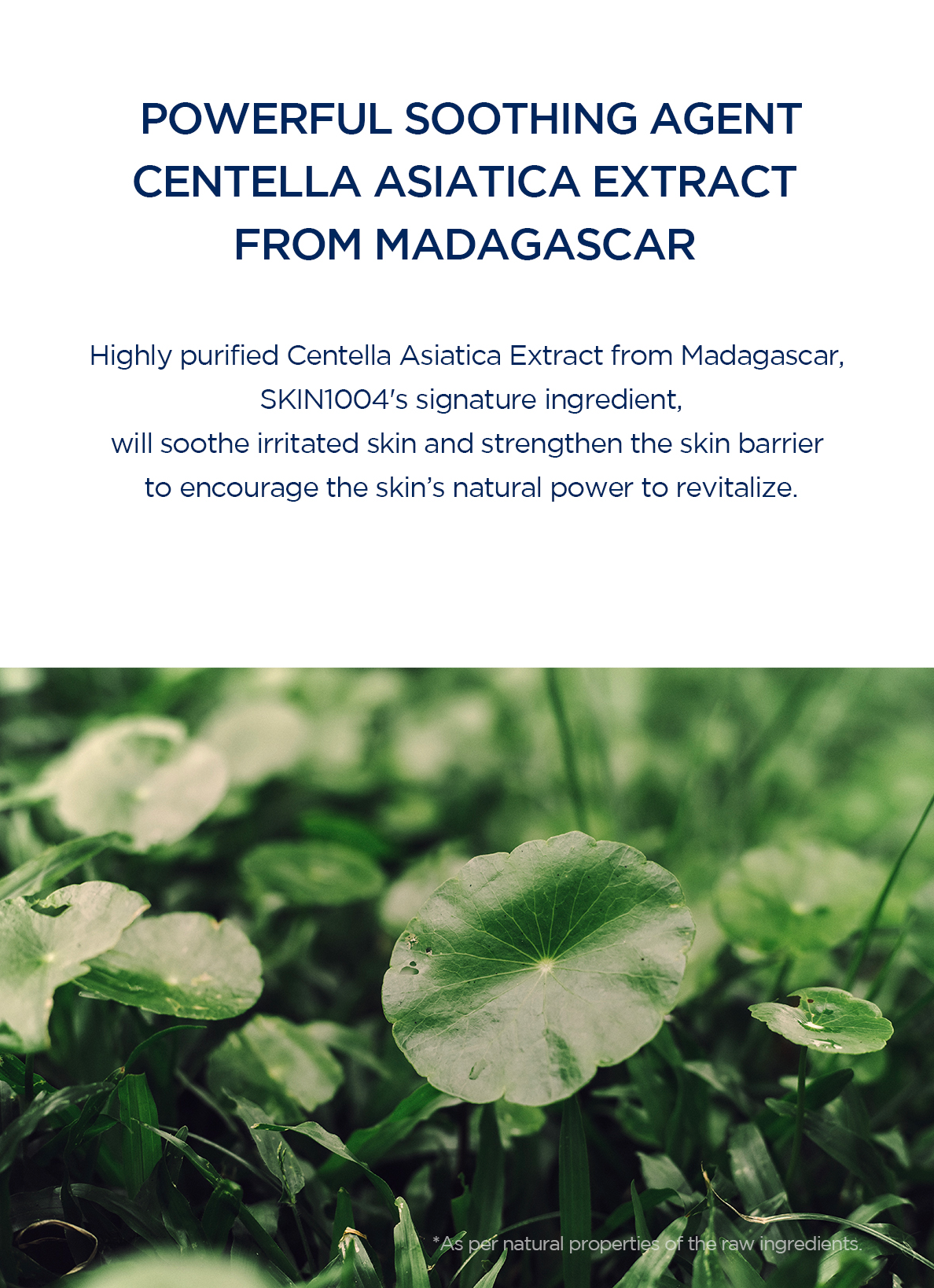 Skin 1004 Madagascar Centella Hyalu-Cica Gentle Cleansing Milk - Olive Kollection