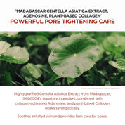 Skin 1004 Madagascar Centella Poremizing Clarifying Mask