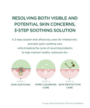 Skin 1004 Madagascar Centella Tea-Trica Relaxing Mask - Olive Kollection