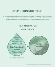 Skin 1004 Madagascar Centella Tea-Trica Relaxing Mask - Olive Kollection