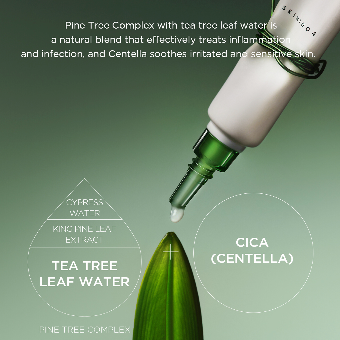 Skin_1004_Madagascar_Centella_Tea-Trica_Spot_Cream_1.png