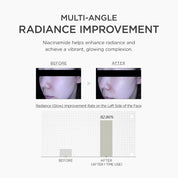 Skin 1004 Niacinamide 10 Boosting Shot Vitamin C PDRN – Ascorbyl Glucoside stable Vitamin C antioxidant Polyglutamic Acid Sodium DNA renewal plump