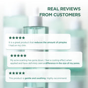 Skin 1004 Tea-Trica Relief Ampoule Pine Tree Complex – Tea Tree Leaf Water Hinoki Cypress Chamaecyparis Obtusa King Pine Leaf antibacterial anti-inflammatory