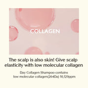 Treecell Day Collagen Shampoo: Morning of Resort - Olive Kollection