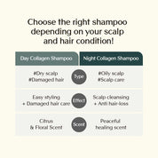 Treecell Night Collagen Shampoo lifestyle – evening shower routine Midnight Forest scent relaxing deep cleanse sulfate-free paraben-free 360ml $17