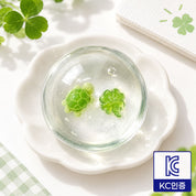 Turtle Clover Slime Squishy clear Korean slime with turtle and clover charms