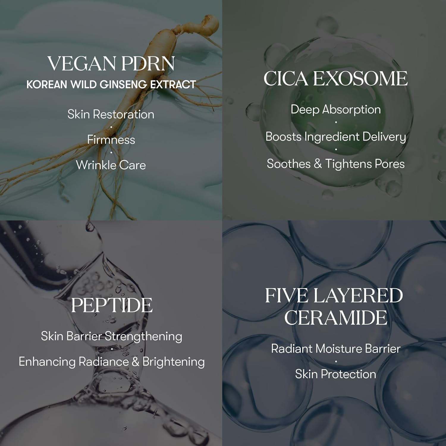 VT PDRN R5 Firming Ampoule - Olive Kollection