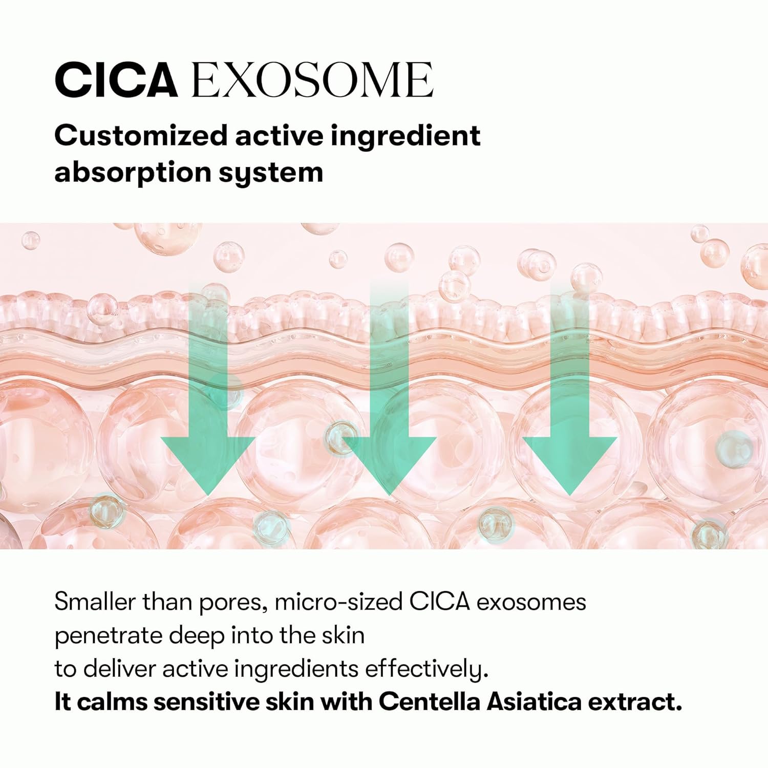 VT PDRN R5 Firming Ampoule - Olive Kollection