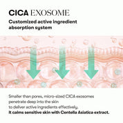 VT PDRN R5 Firming Ampoule - Olive Kollection