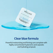 Wellage Real Hyaluronic One Day Kit 7 Count