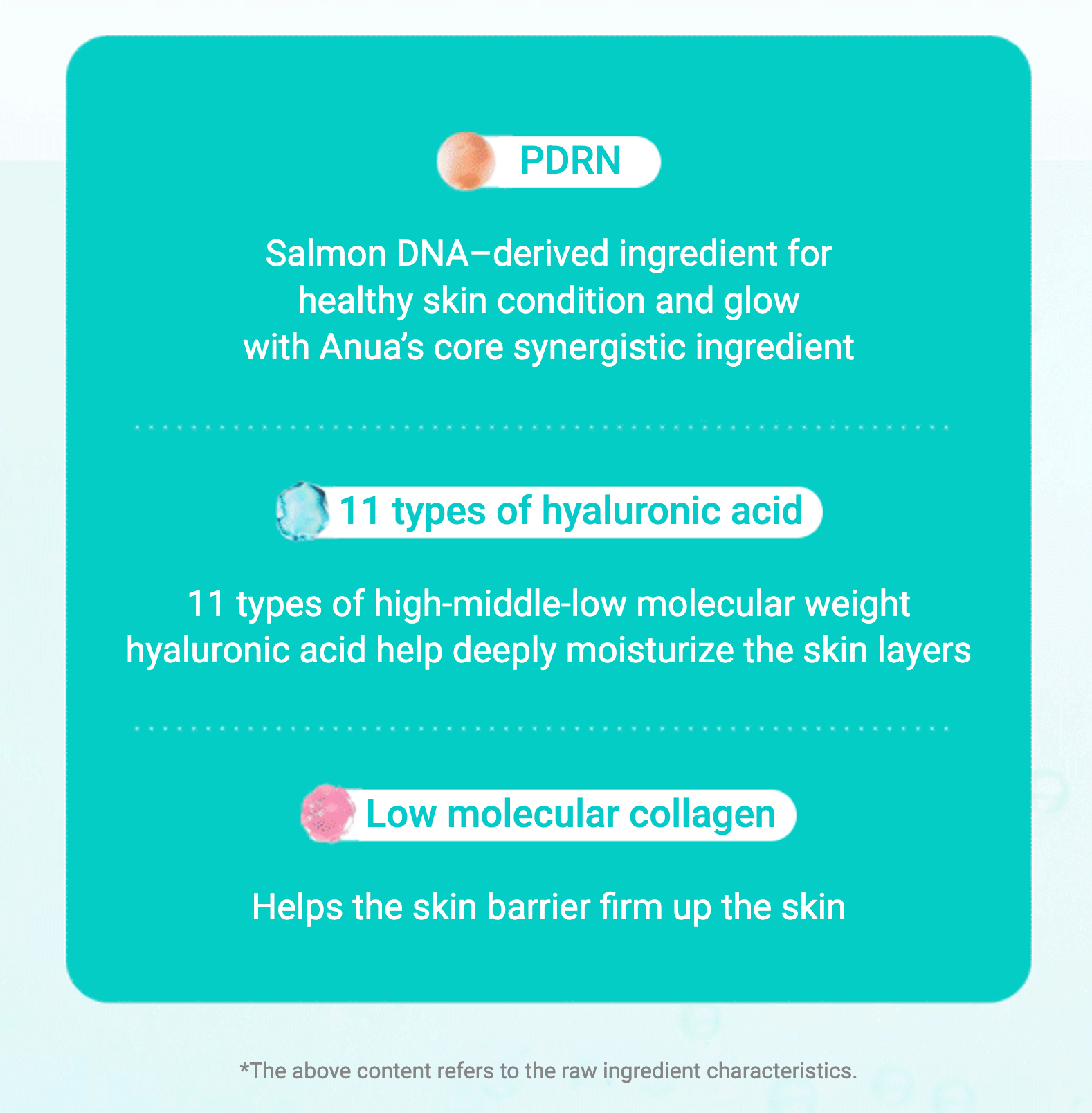 Anua PDRN Hyaluronic Acid Capsule 100 Serum