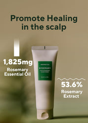 Aromatica Rosemary Conditioner botanical ingredients and texture
