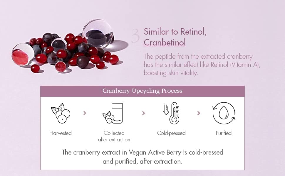 Dr. Ceuracle Vegan Active Berry First Essence