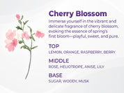 Kundal Honey & Macadamia Protein Treatment 500ml #Cherry Blossom