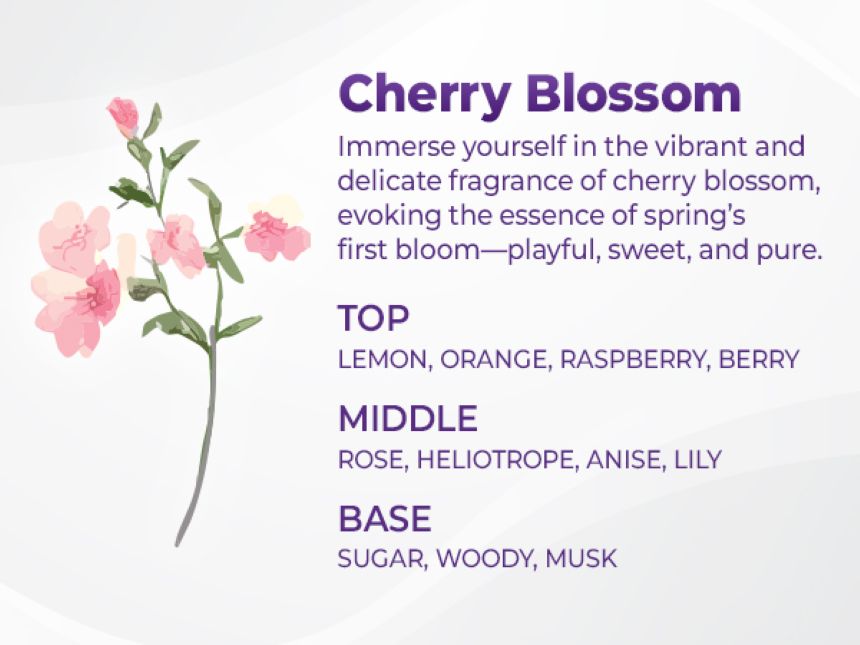 Kundal Honey & Macadamia Protein Treatment 500ml #Cherry Blossom