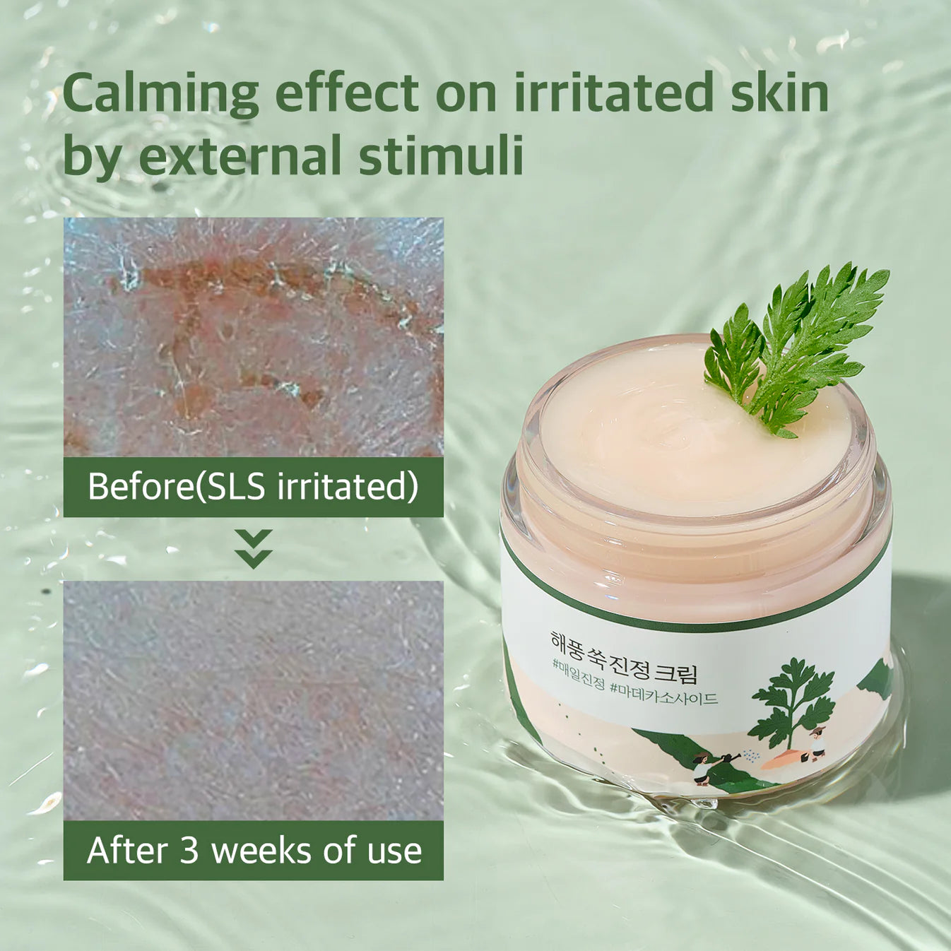 Round Lab Mugwort Calming Cream 80ml – Korean mugwort moisturizer 2 mugwort forms Madecassoside TECA Panthenol sensitive acne-prone skin $34