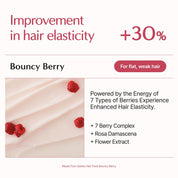 Lilyeve Repair Turn Gelato Hair Pack triple protein – hydrolyzed keratin milk protein egg protein 7-berry complex silk collagen ceramide