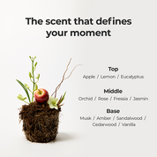 moev Anucatin Hair Perfume camellia and macadamia seed oils