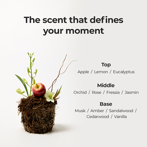 moev Anucatin Hair Perfume camellia and macadamia seed oils