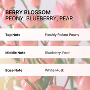 Nesh Pomegranate Biome Scalp Boosting Shampoo