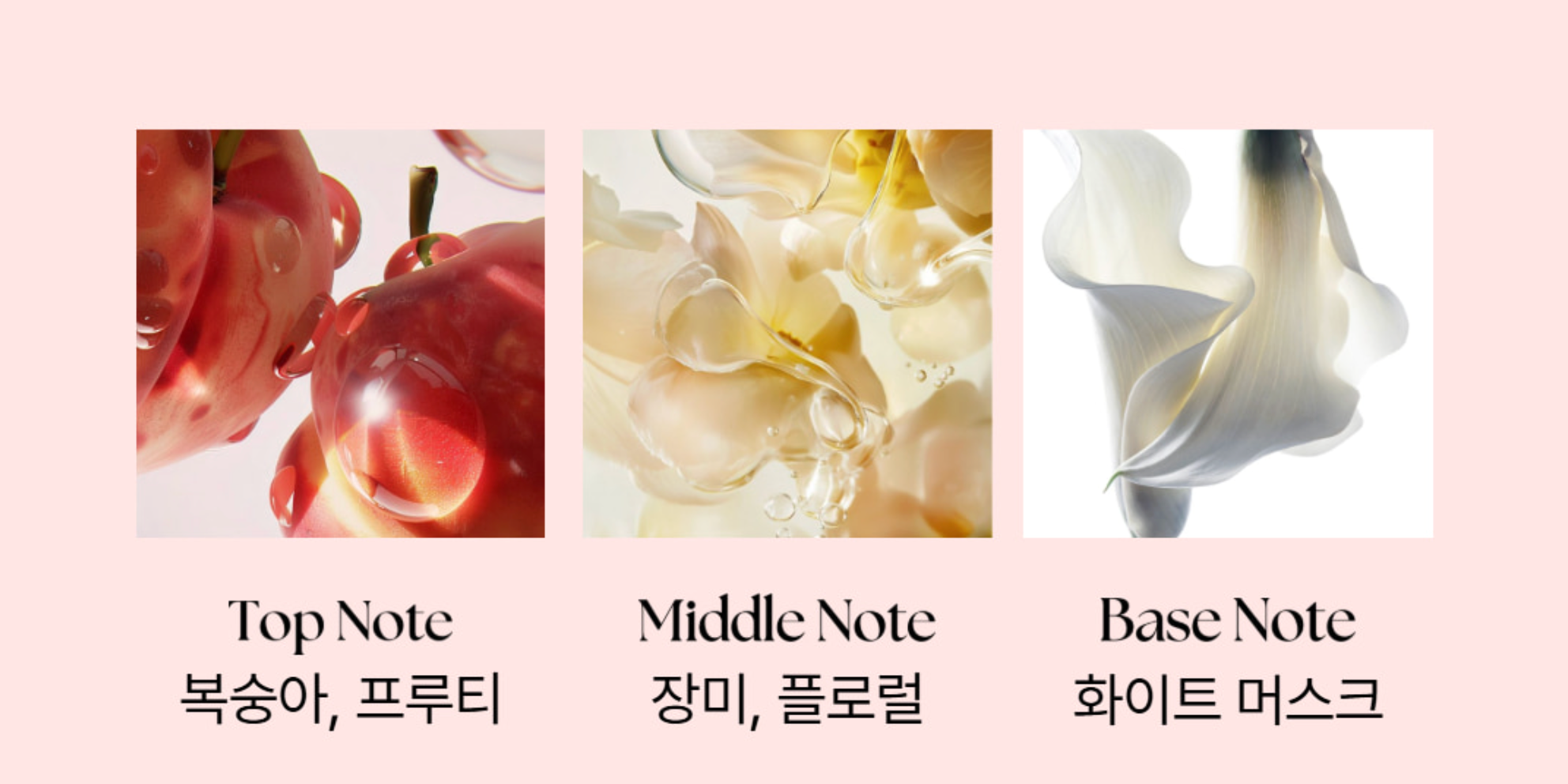 Nesh Pomegranate Biome Glow Oil Serum