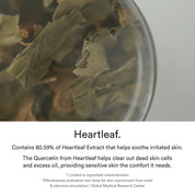 Abib Heartleaf Essence Calming Pump - Olive Kollection