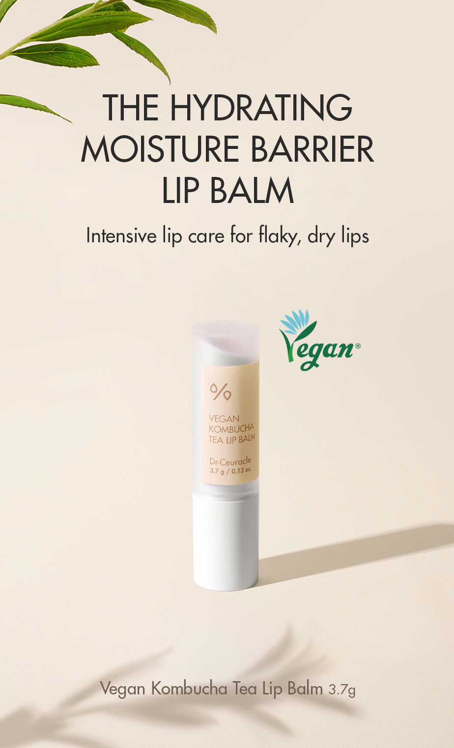 Dr. Ceuracle Vegan Kombucha Tea Lip Balm - Olive Kollection