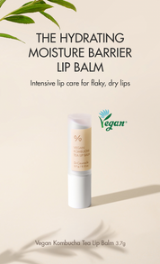 Dr. Ceuracle Vegan Kombucha Tea Lip Balm - Olive Kollection