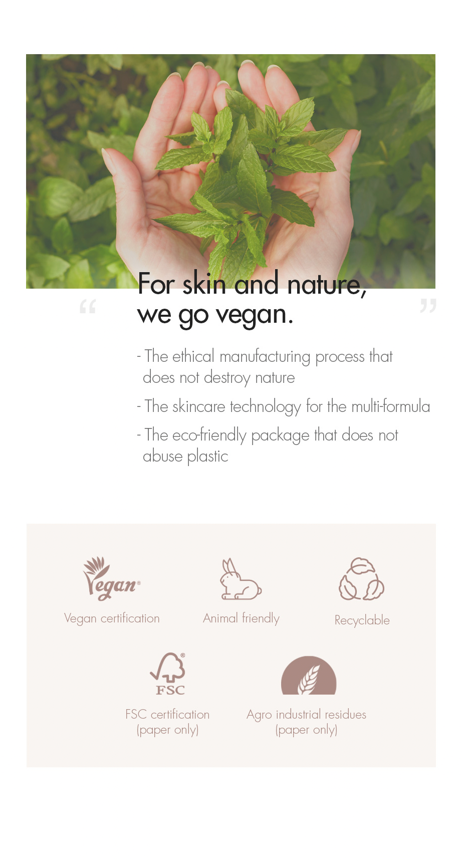 Dr. Ceuracle Vegan Kombucha Tea Lip Balm - Olive Kollection